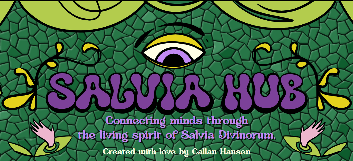 Salvia Divinorum Plant